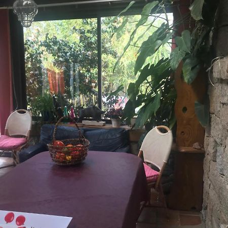 Le Paradis Bed & Breakfast Zicavo Exterior photo